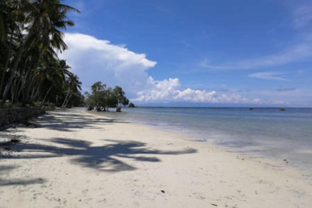 Bamboo Nest Beachfront Hotel Puerto Princesa Exterior photo